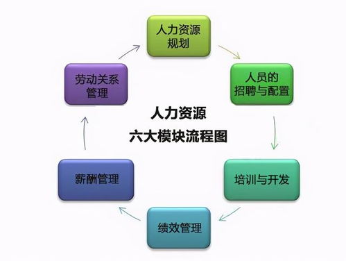 职场百科 人力资源证书怎么考 人力资源证书考试考什么