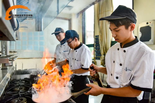 高中生学什么技术好